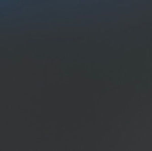 Meet your Posher, Maddox